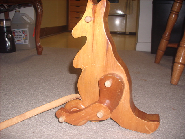 hoppy kangaroo